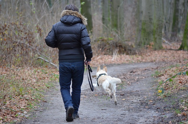 Mindfulness Walk in Nature