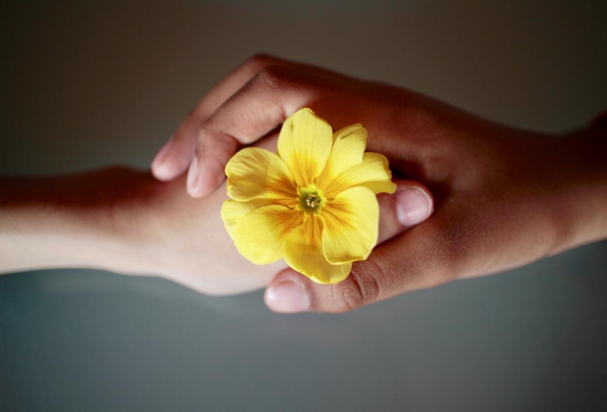 Hands holding together representing respect towards each other.